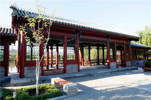 匠心雕琢，藝承古今——嘉興仿古門窗與東陽(yáng)藝隆古建工程的傳承與創(chuàng)新